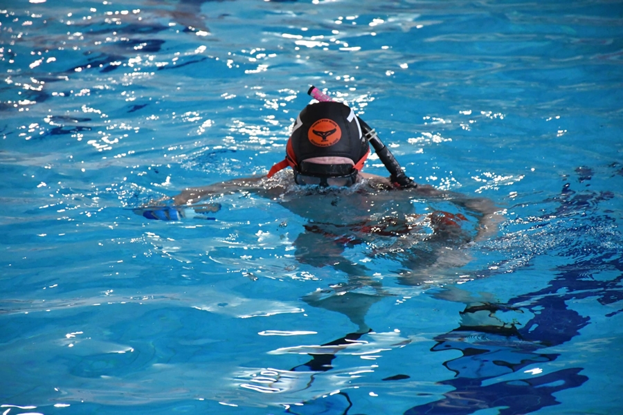 Hokej pod wodą Walenie Siemianowice Śląskie Finał WOŚP w Rudzie Śląskiej 25 I 2026